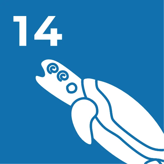塗り絵14