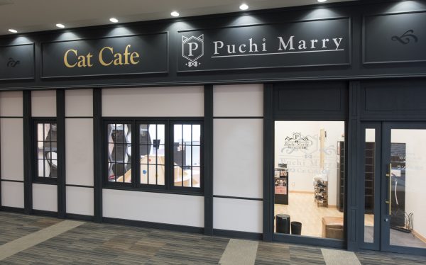 猫カフェ Puchi Marry